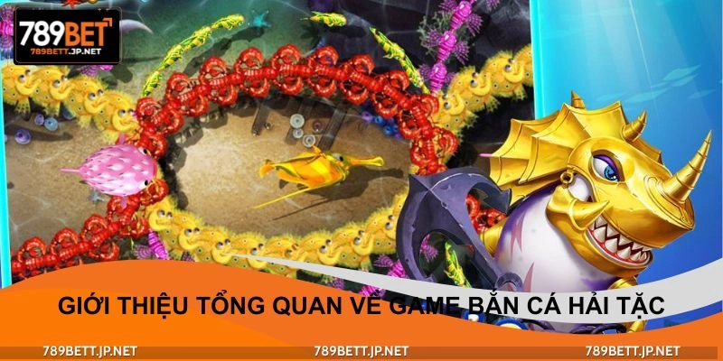 Khái quát về hình thức săn cá hải tặc