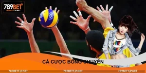 Cá Cược Bóng Chuyền - Tốc Độ Trận Đấu Cao, Cơ Hội Thắng Lớn