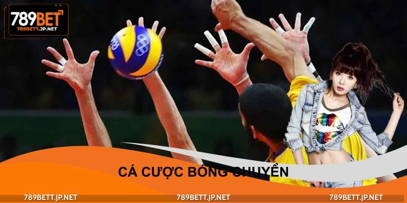 Cá Cược Bóng Chuyền - Tốc Độ Trận Đấu Cao, Cơ Hội Thắng Lớn