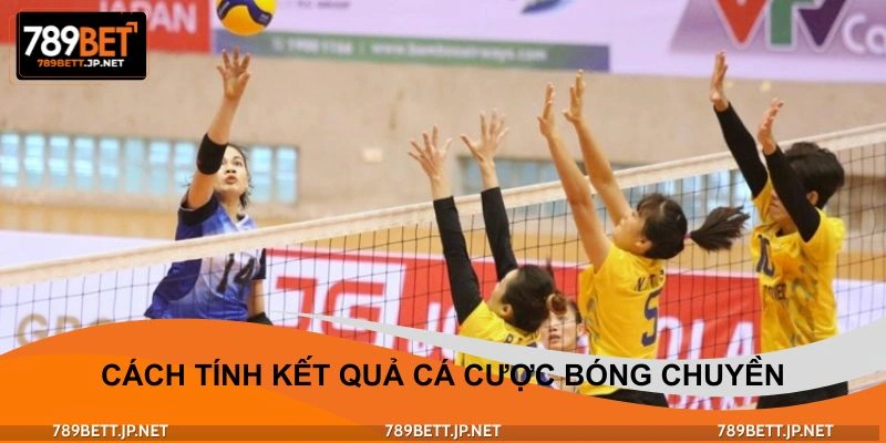 Cách tính kết quả cá cược bóng chuyền