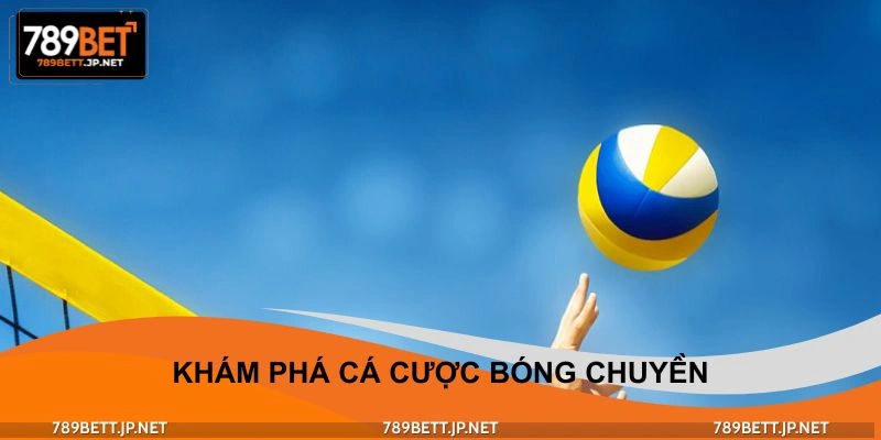 Khái quát sơ lược về dự đoán bóng chuyền
