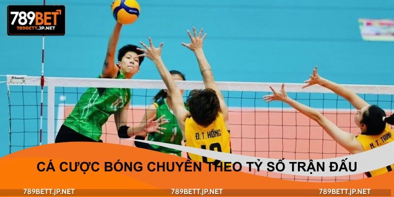 Cá cược bóng chuyền theo tỷ số trận đấu