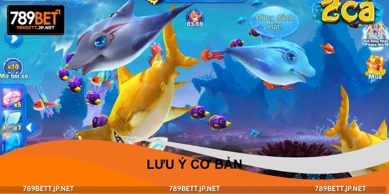 Hướng dẫn chơi bắn cá cơ bản với lưu ý cơ bản