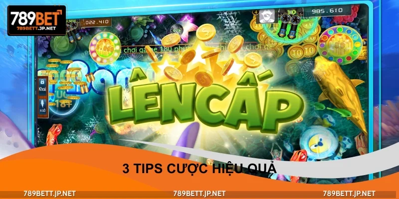 3 tips cược hiệu quả - Hướng dẫn chơi bắn cá cơ bản từ A-Z