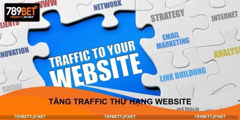 Anh đã thành công tăng traffic cho trang web cá cược