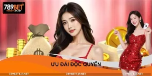 Ưu Đãi Độc Quyền - Đặc Quyền Chỉ Mở Cho Người Nhanh Tay