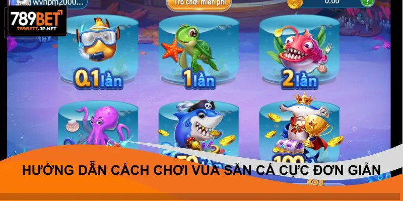Hướng dẫn cách chơi vua săn cá cực đơn giản