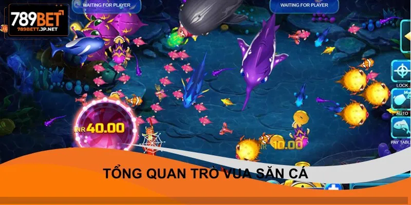 Tổng quan trò vua săn cá